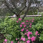 בית כפרי Le Coccole Del Trasimeno *