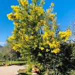 Le Coccole Del Trasimeno Casa di campagna Tuoro sul Trasimeno