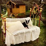 בית כפרי Le Coccole Del Trasimeno *