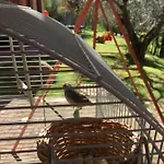 Le Coccole Del Trasimeno
