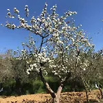Le Coccole Del Trasimeno