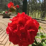 乡村民宿 Le Coccole Del Trasimeno 特拉西梅诺湖畔托罗