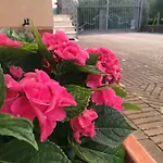 Le Coccole Del Trasimeno