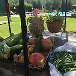 Le Coccole Del Trasimeno Tuoro sul Trasimeno