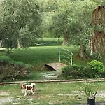 乡村民宿 Le Coccole Del Trasimeno