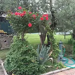 Le Coccole Del Trasimeno *