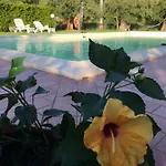 乡村民宿 Le Coccole Del Trasimeno