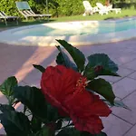 乡村民宿 Le Coccole Del Trasimeno 特拉西梅诺湖畔托罗