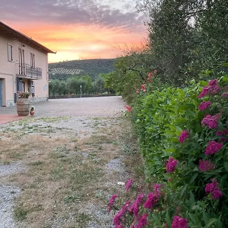 Le Coccole Del Trasimeno 투오로술트라시메노