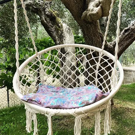 Le Coccole Del Trasimeno