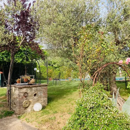 Le Coccole Del Trasimeno *