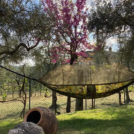 Le Coccole Del Trasimeno Casa de Campo