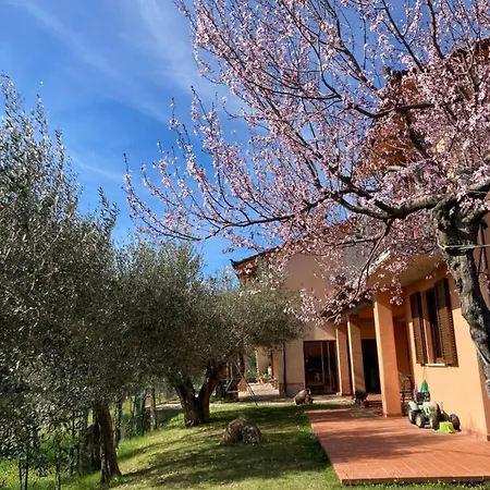 Le Coccole Del Trasimeno * Tuoro sul Trasimeno