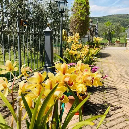 Le Coccole Del Trasimeno * Tuoro sul Trasimeno