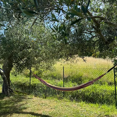 בית כפרי Le Coccole Del Trasimeno טואורו סול טראסימנו