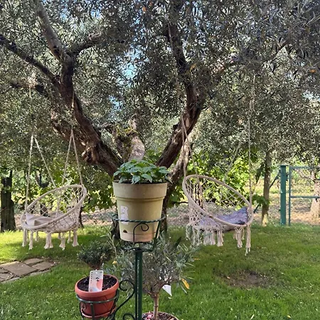 Le Coccole Del Trasimeno בית כפרי *