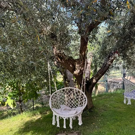 Le Coccole Del Trasimeno בית כפרי טואורו סול טראסימנו