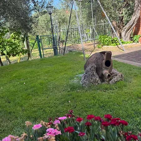 Le Coccole Del Trasimeno