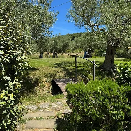 Le Coccole Del Trasimeno בית כפרי טואורו סול טראסימנו