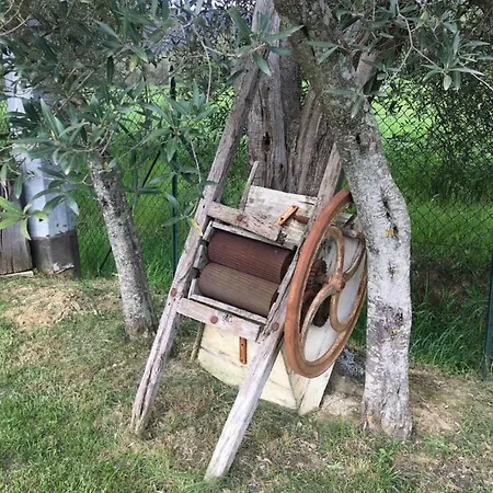 Casa de Campo Le Coccole Del Trasimeno Tuoro sul Trasimeno