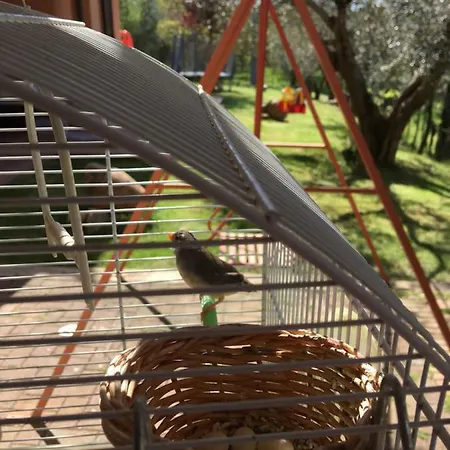 Le Coccole Del Trasimeno