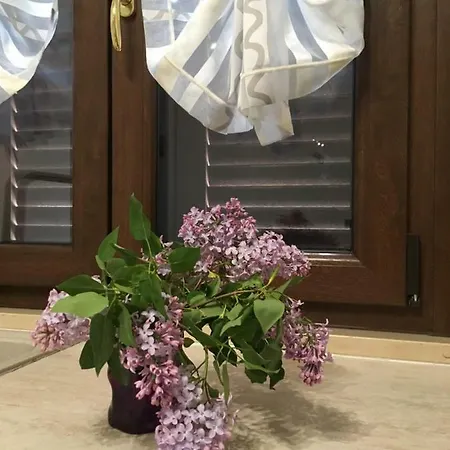 Le Coccole Del Trasimeno *