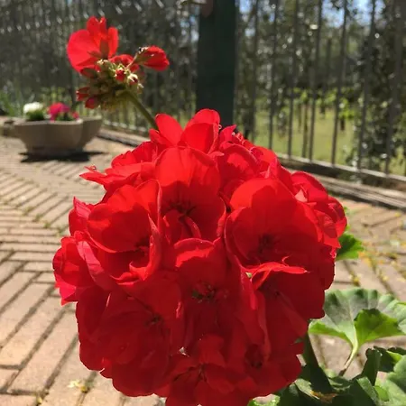 Casa de Campo Le Coccole Del Trasimeno Tuoro sul Trasimeno