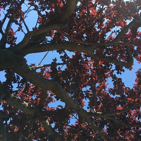 Le Coccole Del Trasimeno Εξοχικό σπίτι Tuoro sul Trasimeno
