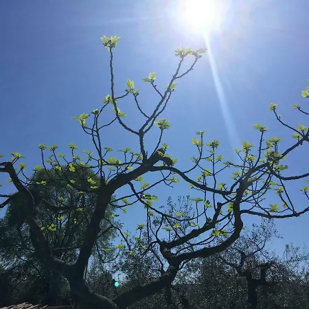 Casa de Campo Le Coccole Del Trasimeno *