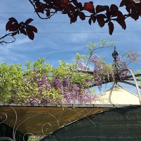 Le Coccole Del Trasimeno Εξοχικό σπίτι Tuoro sul Trasimeno
