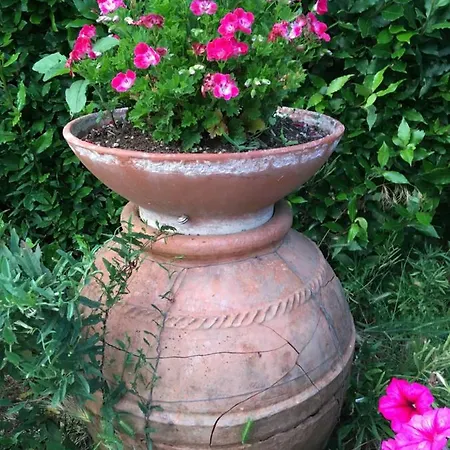 Le Coccole Del Trasimeno