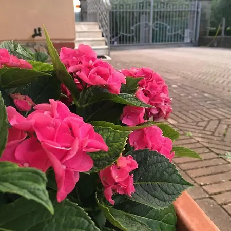 Le Coccole Del Trasimeno