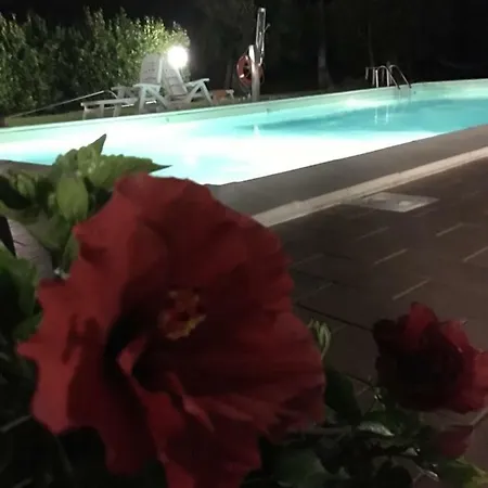 Le Coccole Del Trasimeno Εξοχικό σπίτι Tuoro sul Trasimeno