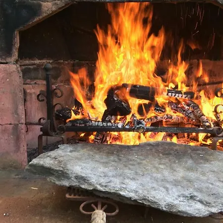 Le Coccole Del Trasimeno * Tuoro sul Trasimeno