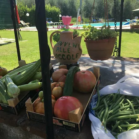 Le Coccole Del Trasimeno Tuoro sul Trasimeno