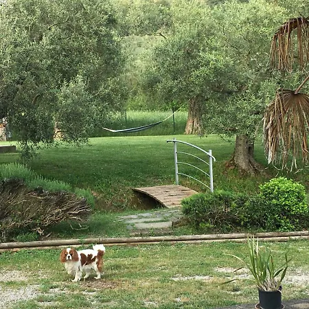 컨트리하우스 Le Coccole Del Trasimeno