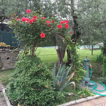 Le Coccole Del Trasimeno *