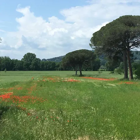 Le Coccole Del Trasimeno *