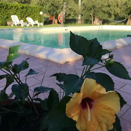 Casa de Campo Le Coccole Del Trasimeno