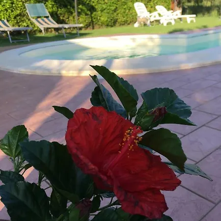 Casa de Campo Le Coccole Del Trasimeno Tuoro sul Trasimeno